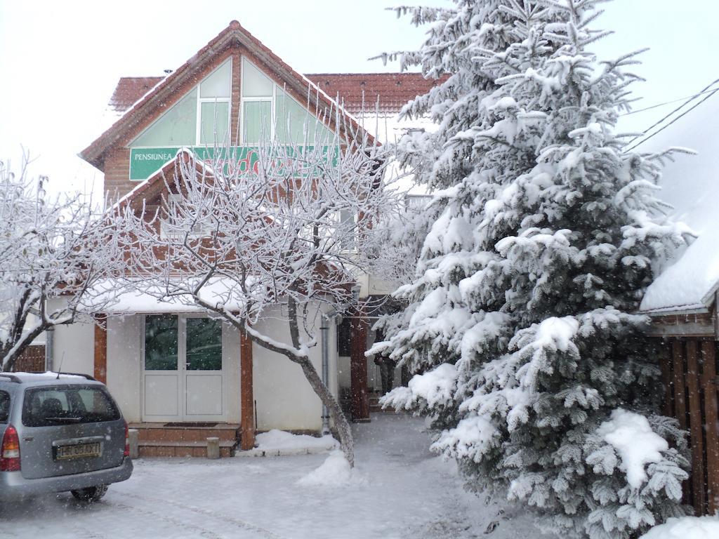 Randevu Panzio Hotel Miercurea Ciuc Exterior photo